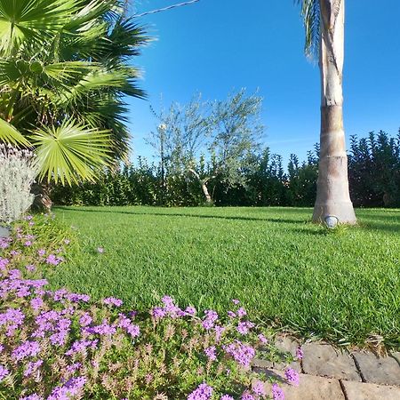 Malia Holiday Villa Conversano Exterior foto